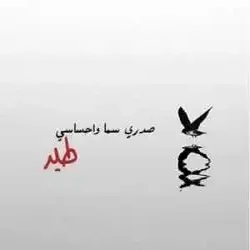 رجل امان مره لك