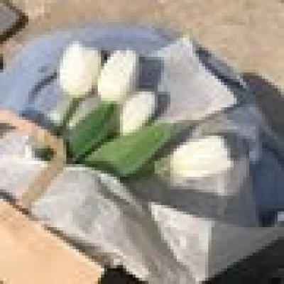 AA