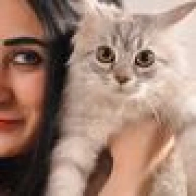 Model.suha