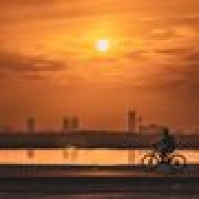 مصور هاوي