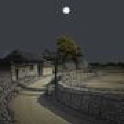 a_liy1