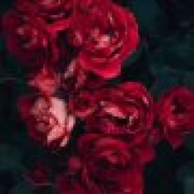 heba