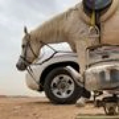 هايل